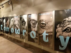 Korytarz w budynku. Na ścianie seria 8 dużych plakatów przedstawiających  profil różnych zwierząt i mężczyzny w okularach. Litery na plakatach składają się na słowo "Domowroty", na jednym z plakatów napis: "Władysław Puchalski. 22.07-6.11.2022"